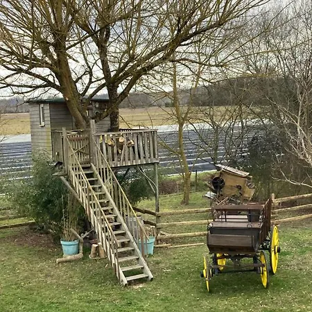 The Farm