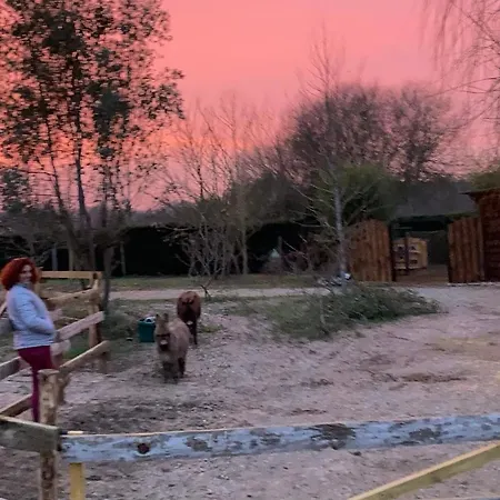 Campeggio The Farm *