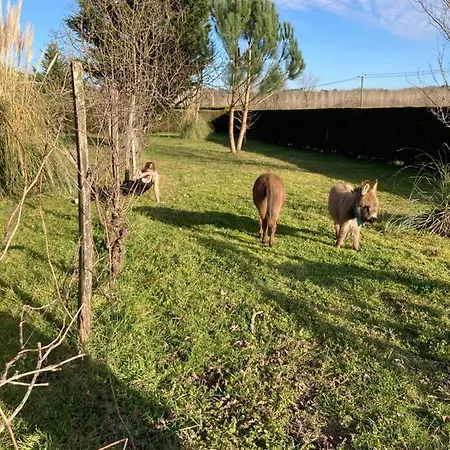 The Farm Bouglon